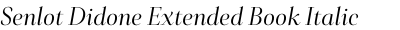 Senlot Didone Extended Book Italic